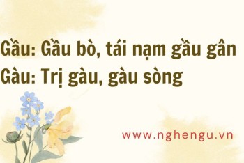 Viết gàu hay gầu, gàu bò hay gầu bò, gàu nước hay gầu nước?