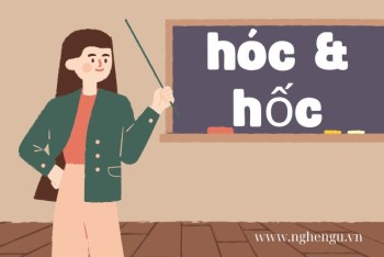 Hóc hay hốc? Hóc búa hay hốc búa? Hóc cây hay hốc cây?