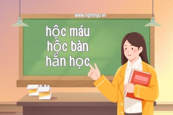 Hộc máu hay học máu? Hộc bàn hay học bàn? Hằn hộc hay hằn học?