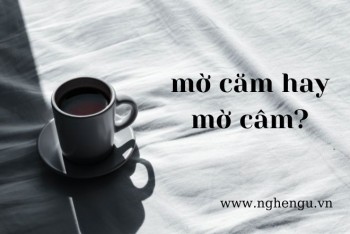 Mờ căm hay mờ câm, căm nín hay câm nín, lạnh căm hay lạnh câm?