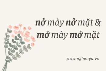 Nở mày nở mặt và mở mày mở mặt khác nhau như thế nào?