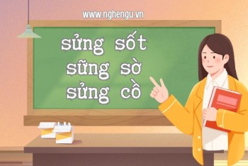 Viết sững sốt hay sửng sốt, sững sờ hay sửng sờ đúng?
