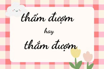 Viết thấm hay thắm, thắm đượm hay thấm đượm đúng?