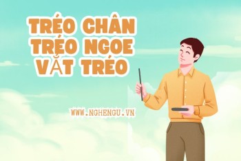 Tréo ngoe hay chéo ngoe? Tréo chân hay chéo chân đúng?