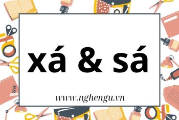 Xá hay sá? Quán xá hay quán sá, quá xá hay quá sá mới đúng?