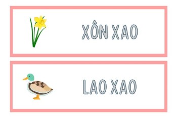 Viết xôn sao hay xôn xao, lao sao hay lao xao đúng?