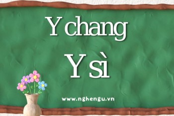 Viết y chan hay y chang, y sì hay y xì mới đúng chính tả?