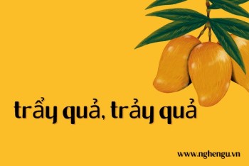 Viết chảy quả hay trảy quả, trảy hội hay trẩy hội mới đúng?