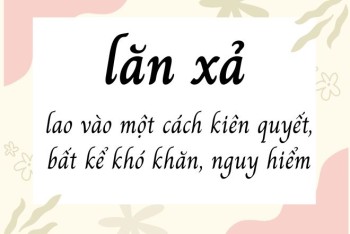 Viết lăn xả hay lăn sả mới đúng chính tả? Nghĩa cụ thể là gì?