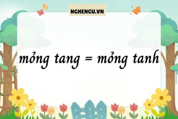 Mỏng tang hay mỏng tanh đúng? Nên dùng từ nào hay hơn?