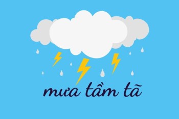 Viết mưa tầm tả hay tầm tã mới đúng? Phân biệt tả hay tã