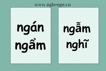 Ngán ngẫm hay ngán ngẩm, suy ngẫm hay suy ngẩm?