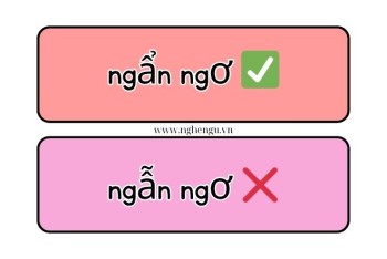Viết ngẩn ngơ hay ngẫn ngơ mới đúng chính tả? Nghĩa là gì?