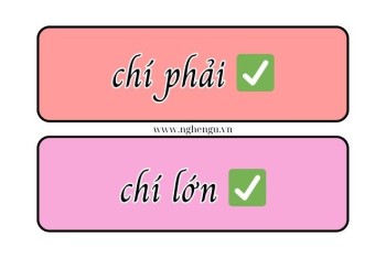 Trí phải hay chí phải, trí khí hay chí khí, trí lớn hay chí lớn?