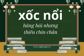 Xốc nổi hay sốc nổi, xốc lại hay sốc lại, xốc vác hay sốc vác?