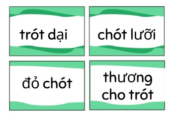 Chót dại hay trót dại, chót lưỡi hay trót lưỡi đúng chính tả?