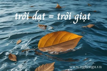 Trôi giạt hay trôi dạt, bèo giạt hay bèo dạt mới đúng chính tả?