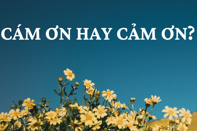 cam on hay cam on