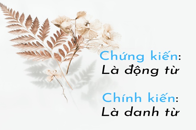 chinh kien hay chung kien