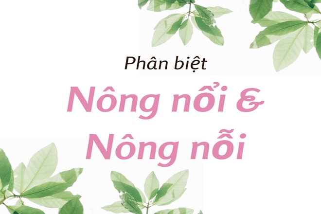 nong noi hay nong noi