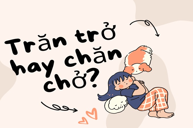 tran tro hay chan cho