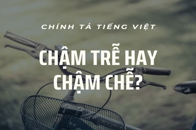 cham tre hay cham che