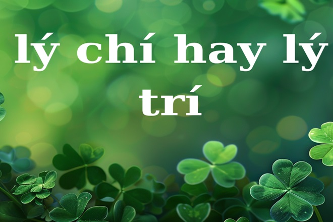 ly chi hay li tri