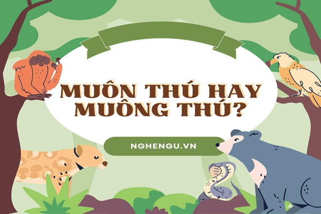 muon thu hay muong thu