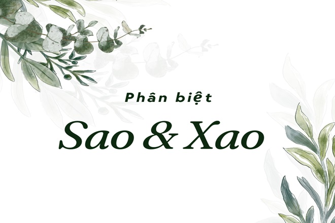 xao thuoc hay sao thuoc