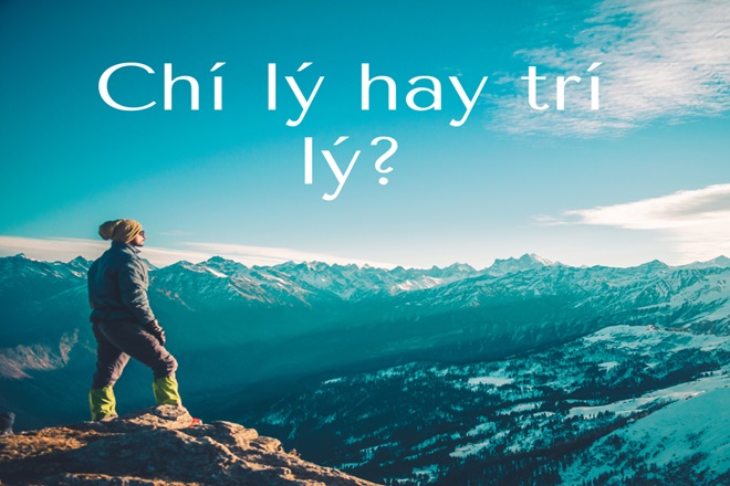 chi ly hay tri ly