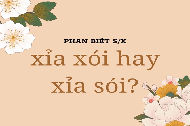 xia xoi hay xia soi