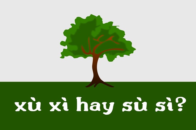 xu xi hay su si