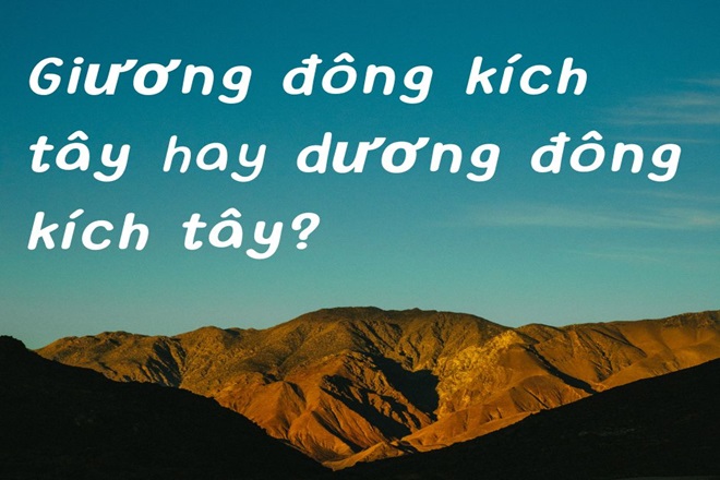 giuong dong kich tay hay duong dong