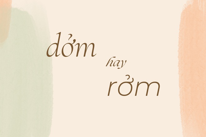 dom hay rom