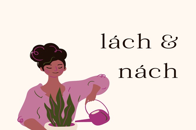 nach hay lach