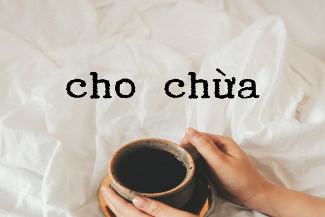 cho chua hay cho trua