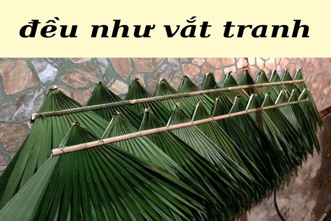 deu nhu vat tranh hay vat chanh