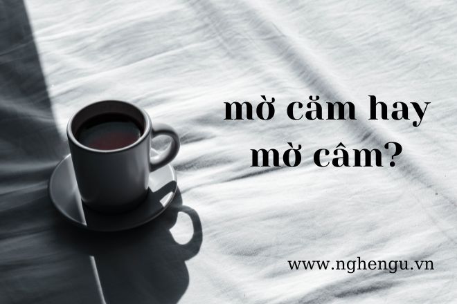 mo cam hay mo cam