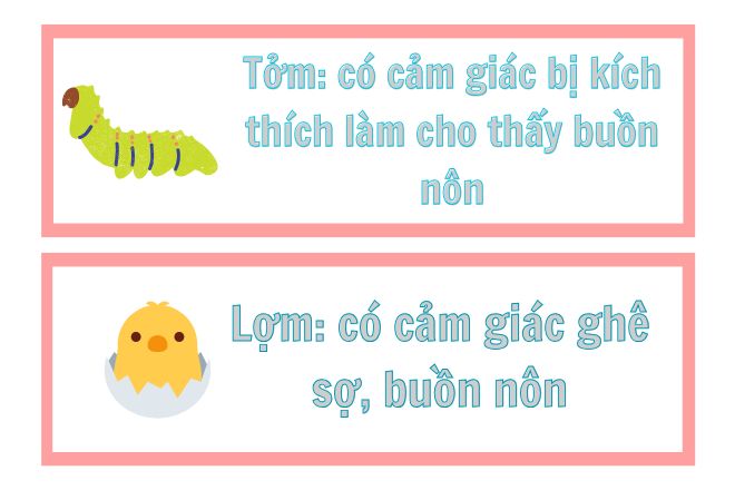 tom lom hay tom lon