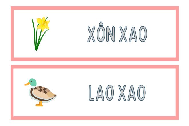 xon sao hay xon xao