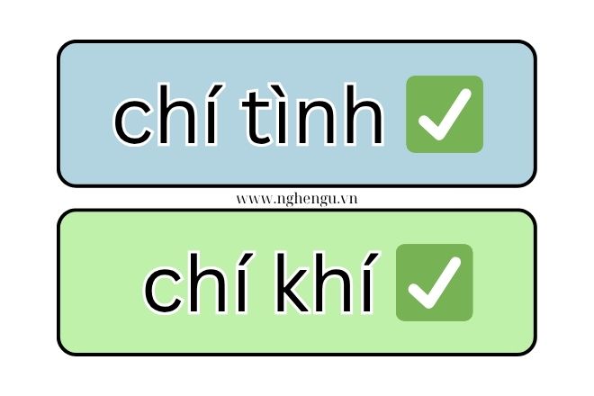 chi tinh hay tri tinh