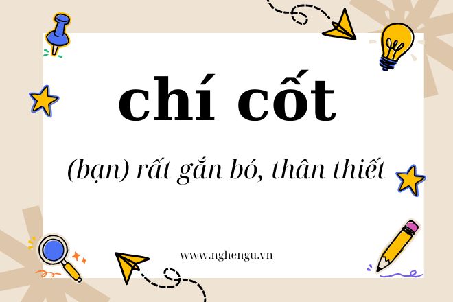 tri cot hay chi cot