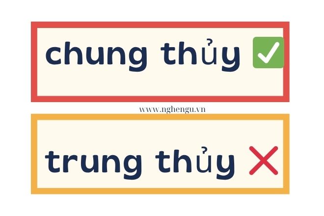 Trung thủy hay chung thủy từ nào đúng chính tả? Vì sao nhiều người viết sai?