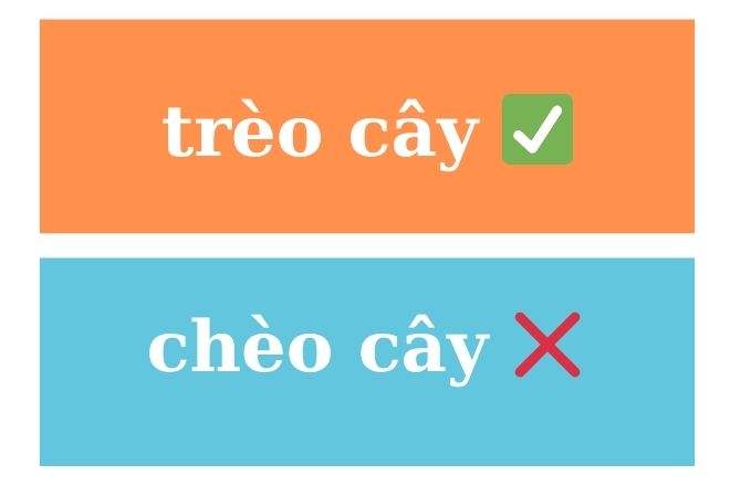 Trèo cây hay chèo cây viết đúng? Mẹo phân biệt trèo và chèo