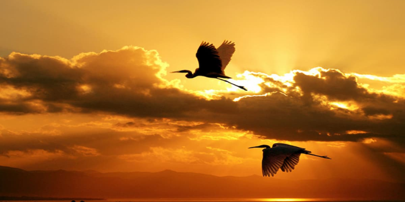 Khuyến Mãi 92lottery Cập Nhật Quyền Lợi Nổi Bật 2025