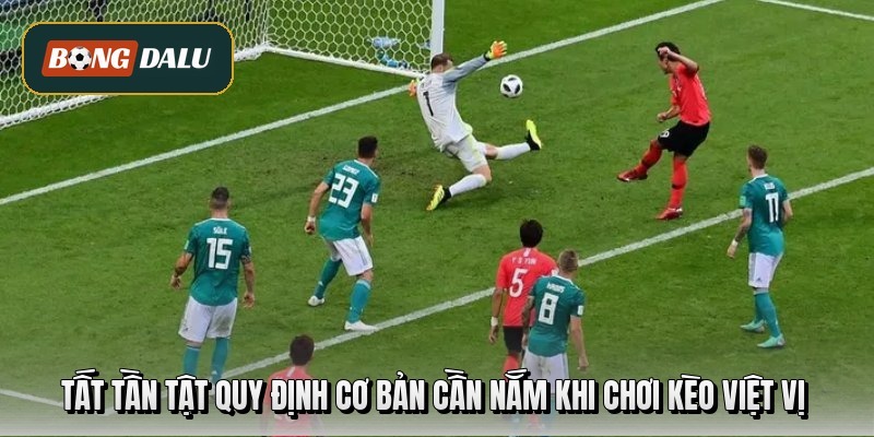 Nhà Cái Uy Tín Là Gì? Kinh Nghiệm Chọn Đúng Nền Tảng